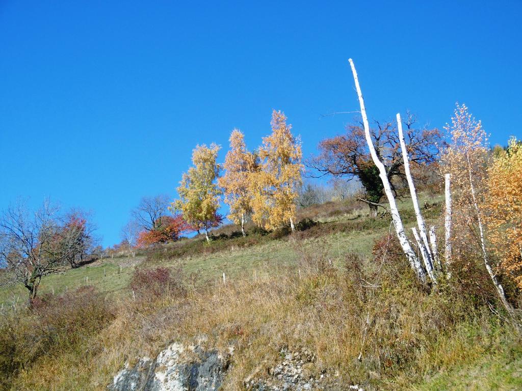 Gite Au Coeur Du Chalet En Belledonne Vers Prapoutel Les 7 Laux Сент-Аньес Номер фото